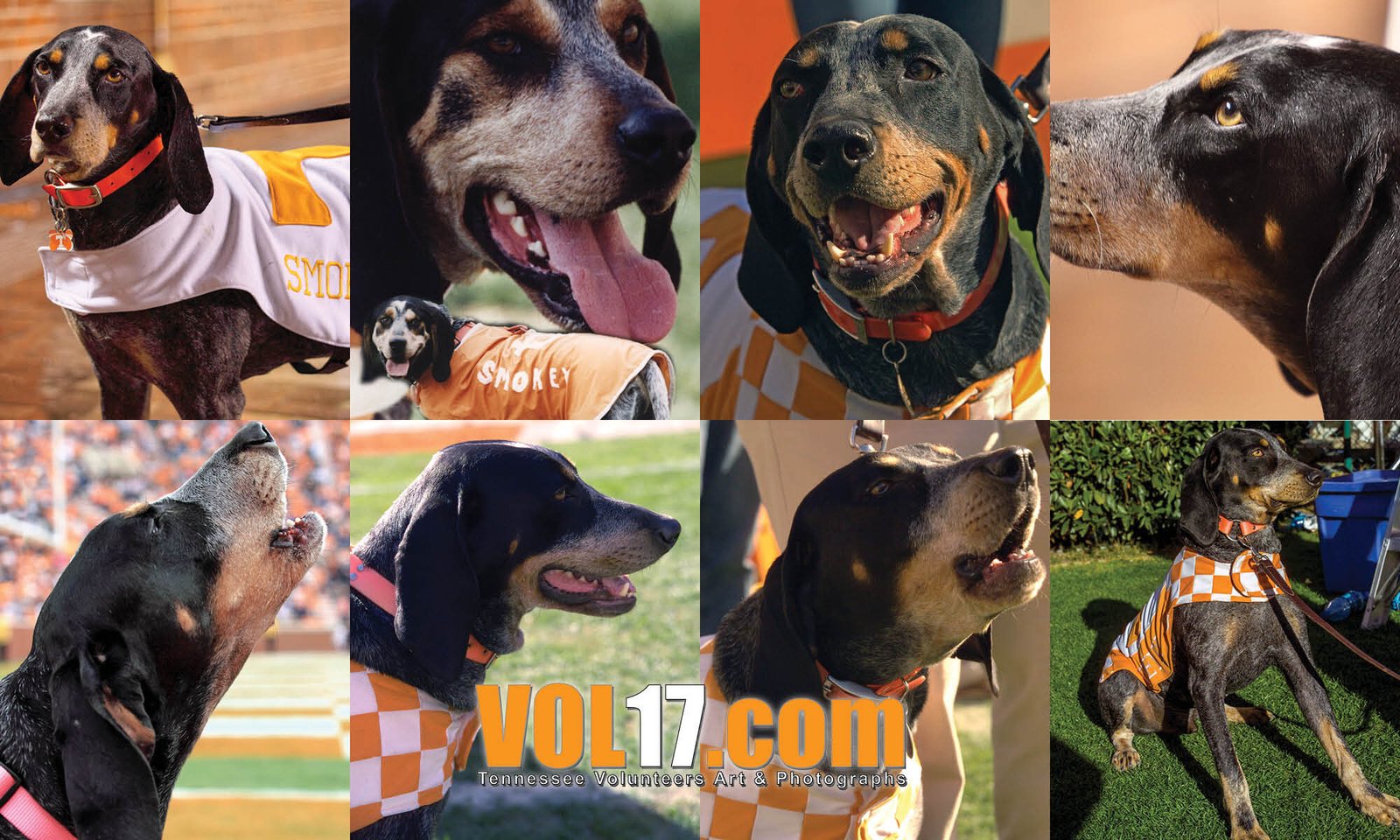 Smokey Mascot Photos